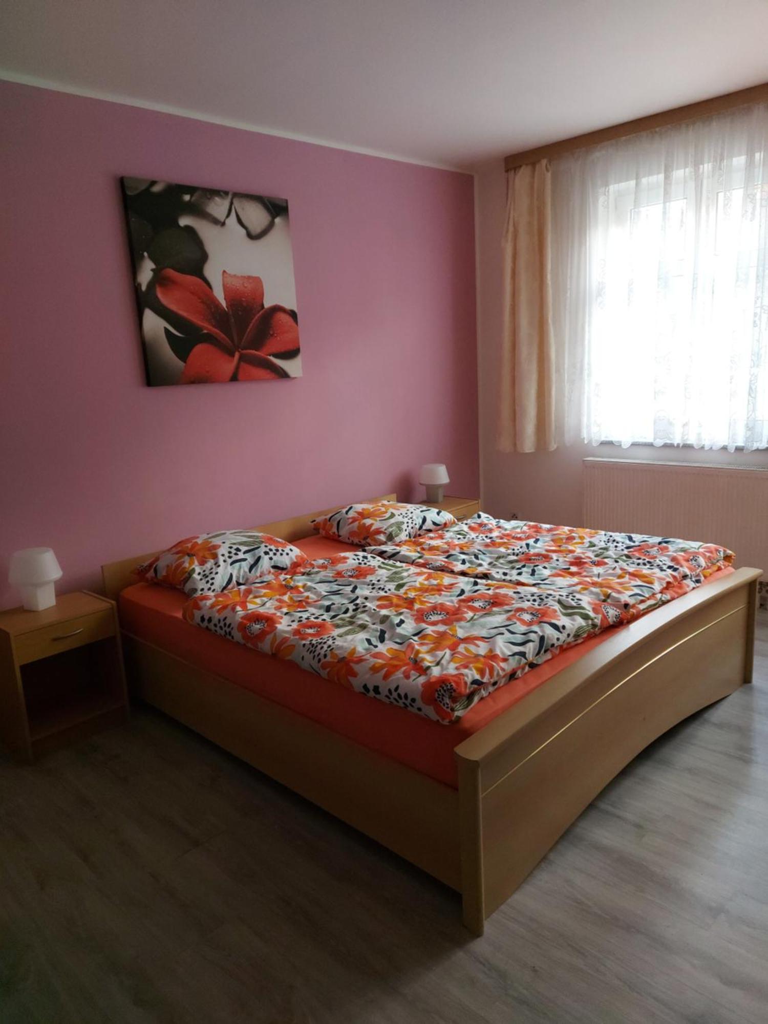 Krusne Hory Apartment *